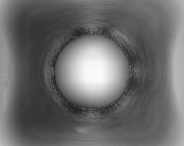 X0000099970865200805231403