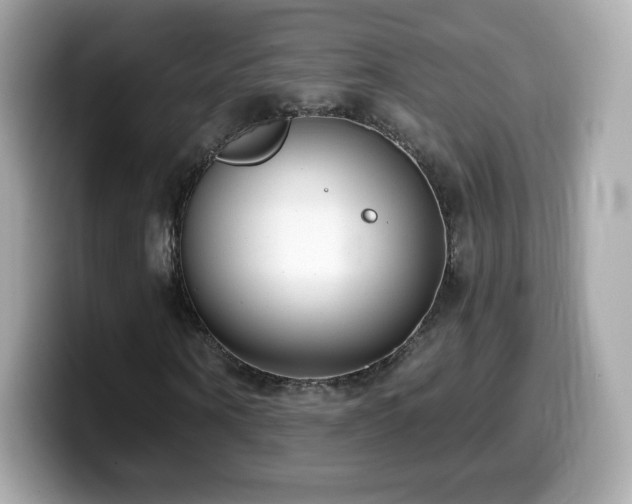 X0000099970866200805231403