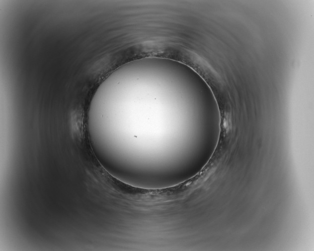 X0000099970867200805231403