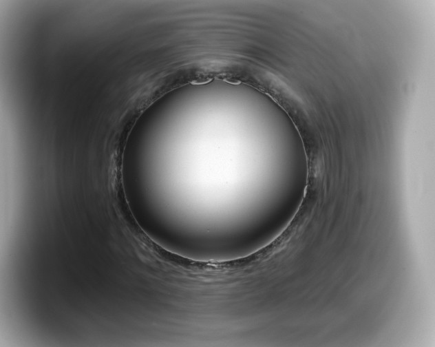 X0000099970868200805231403