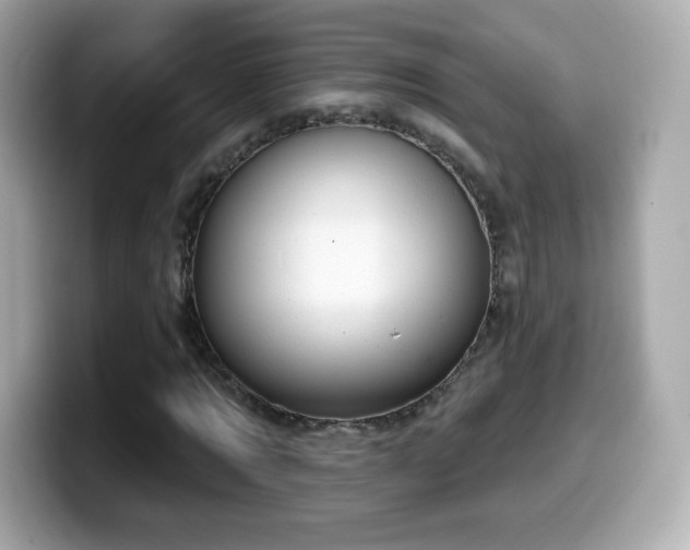 X0000099970869200805231403
