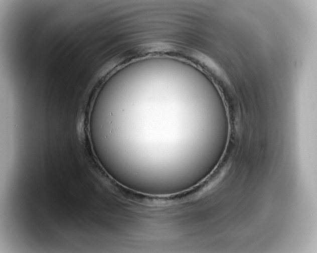 X0000099970873200805231403