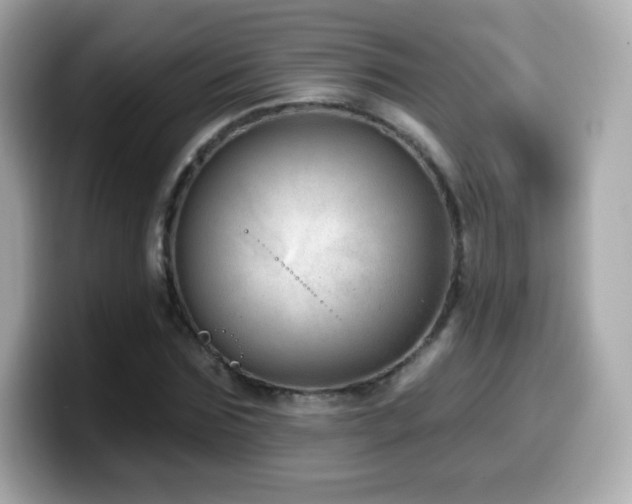 X0000099970875200805231403