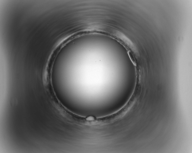 X0000099970876200805231403