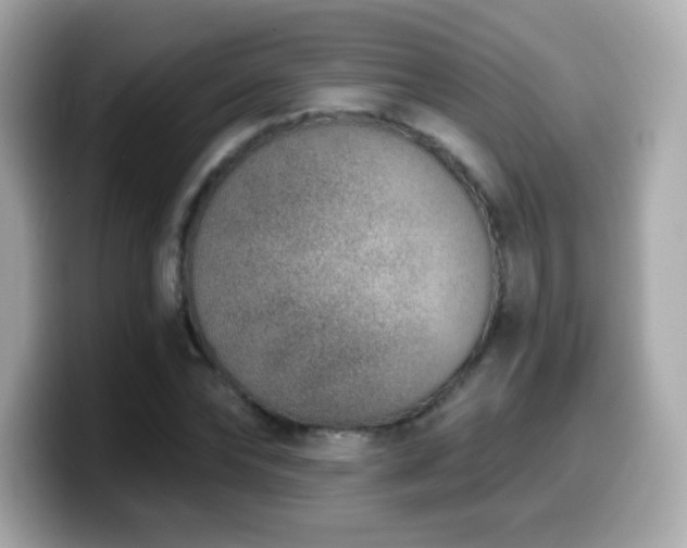X0000099970878200805231403
