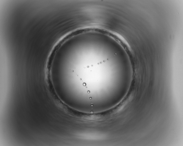 X0000099970879200805231403