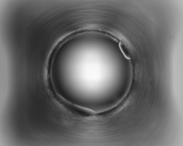 X0000099970880200805231403