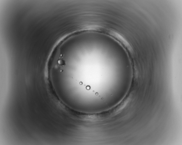 X0000099970883200805231403