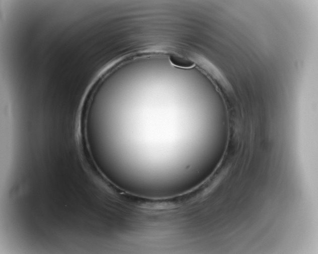 X0000099970884200805231403