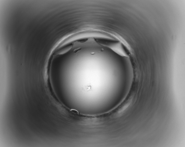 X0000099970885200805231403