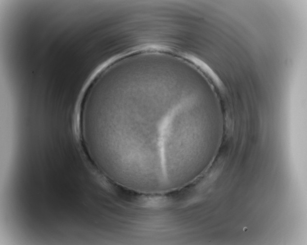 X0000099970886200805231403