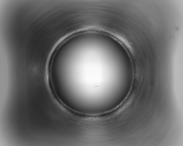 X0000099970888200805231403