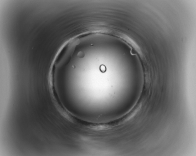 X0000099970891200805231403