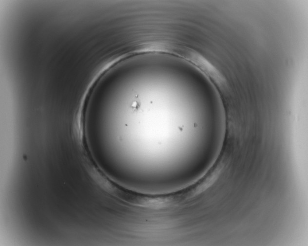 X0000099970892200805231403