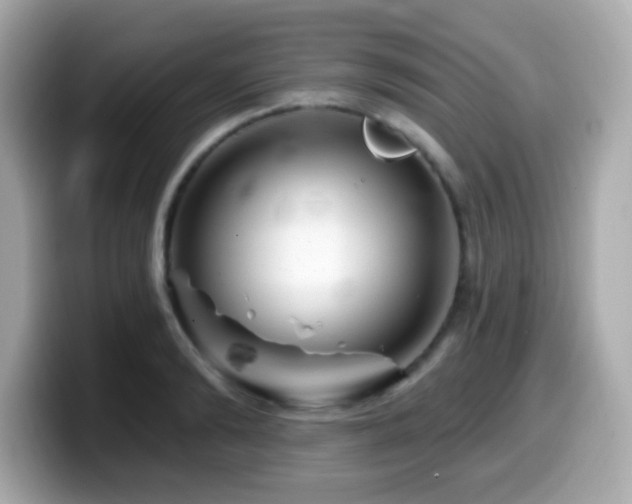 X0000099970894200805231402