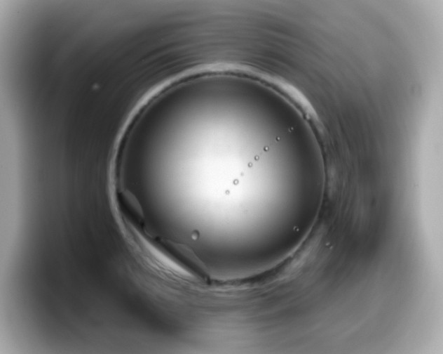 X0000099970895200805231402