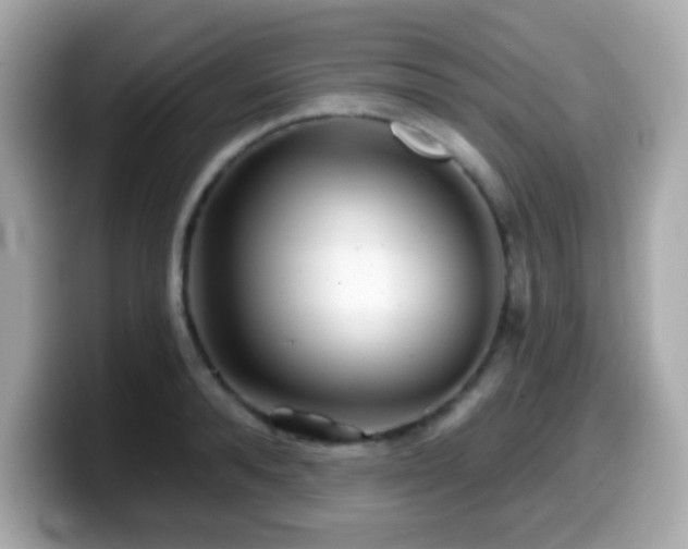 X0000099970896200805231402