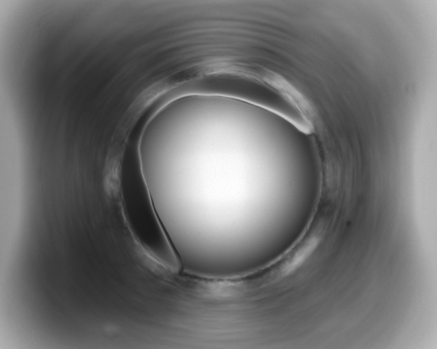 X0000099970897200805231402