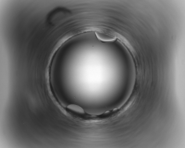 X0000099970898200805231402