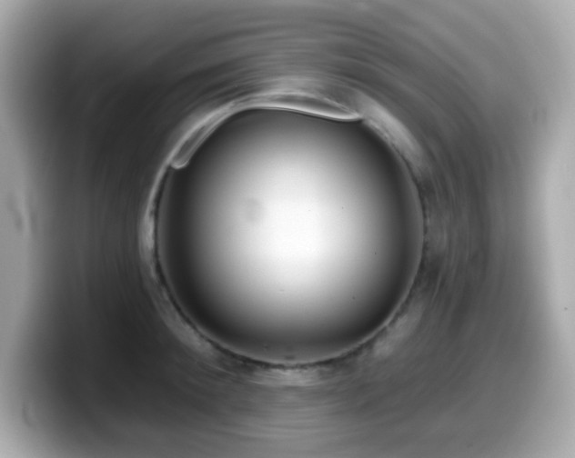 X0000099970900200805231402