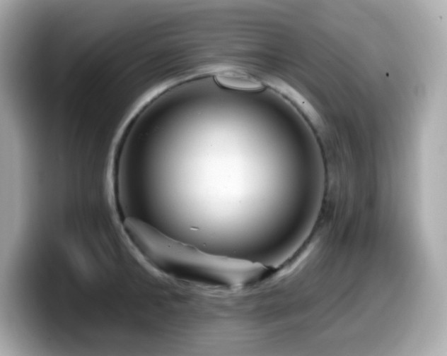 X0000099970902200805231402