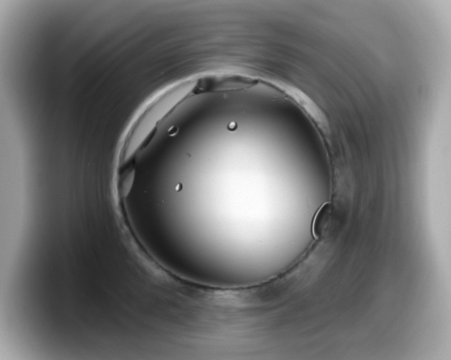 X0000099970904200805231402