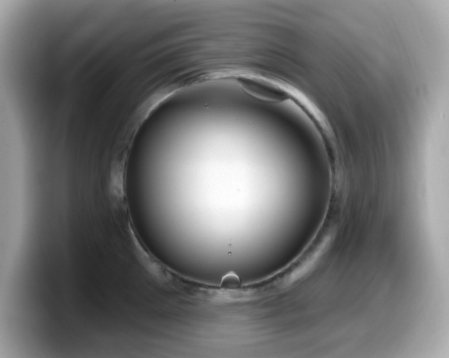 X0000099970905200805231402