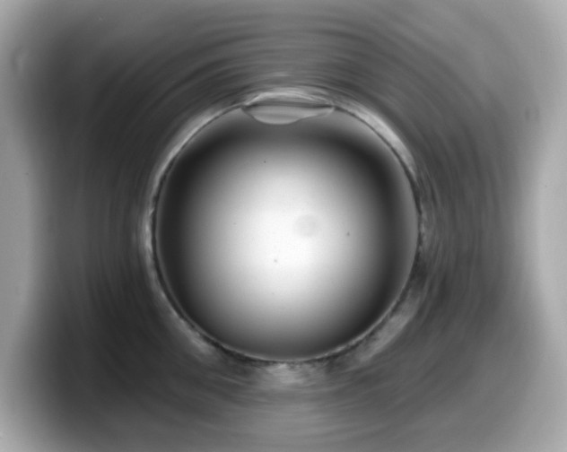 X0000099970906200805231402