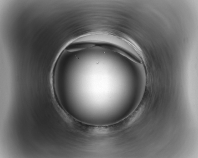 X0000099970907200805231402