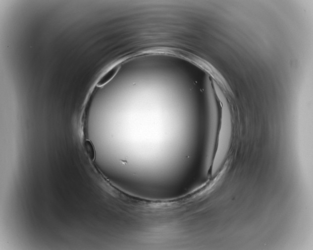 X0000099970908200805231402