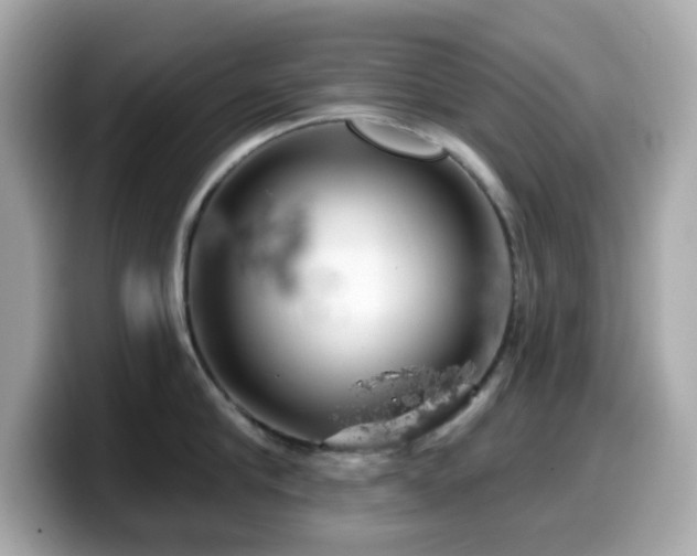 X0000099970910200805231402