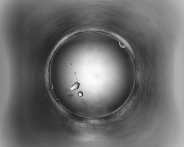 X0000099970911200805231402