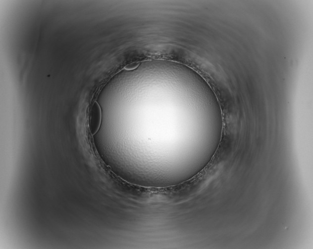 X0000099970913200805231402