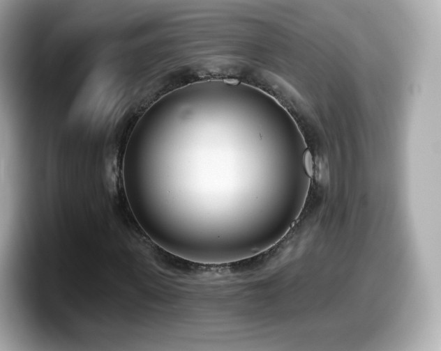 X0000099970915200805231402