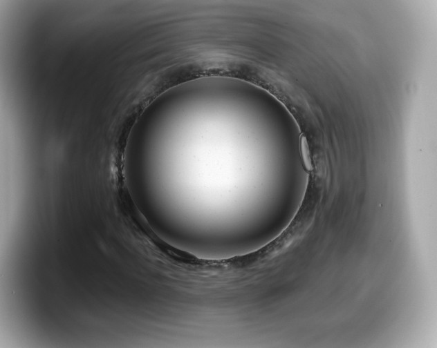 X0000099970916200805231402