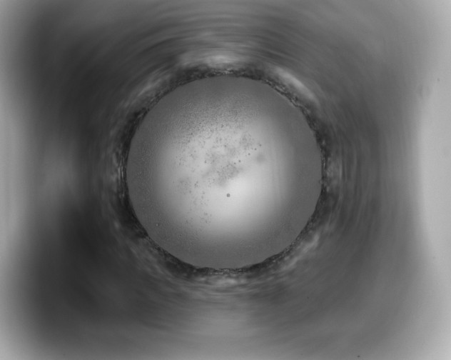 X0000099970917200805231402