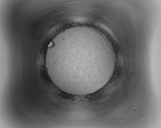 X0000099970918200805231402