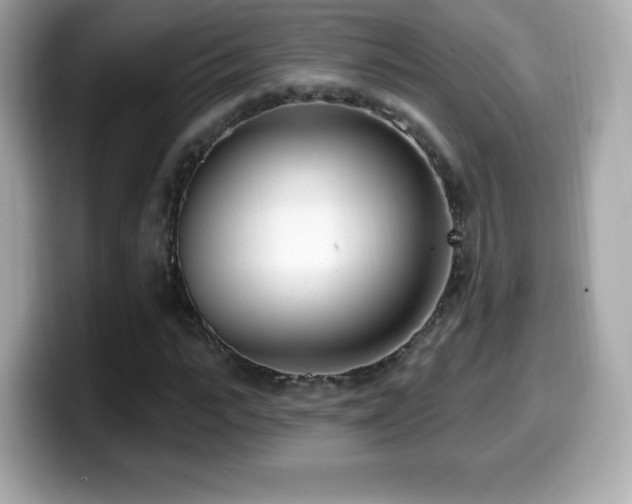 X0000099970919200805231402