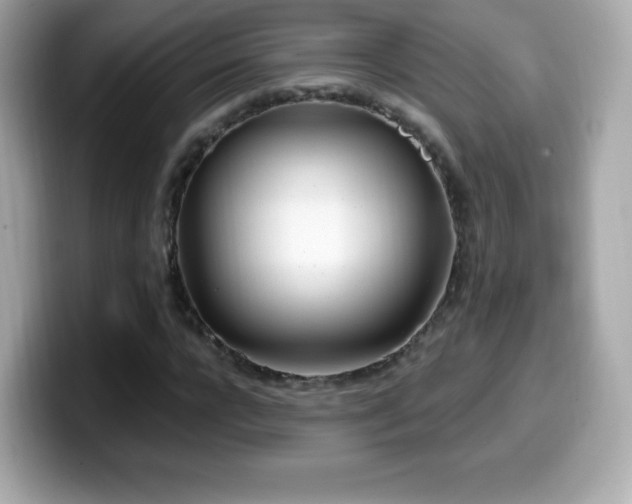 X0000099970920200805231402