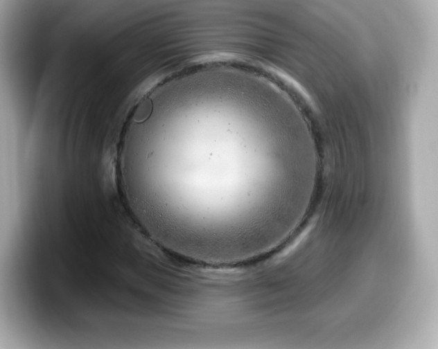 X0000099970921200805231402