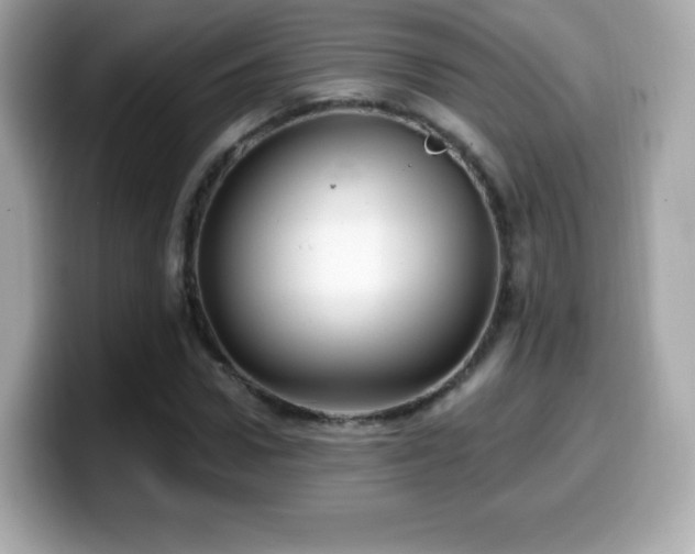 X0000099970922200805231402