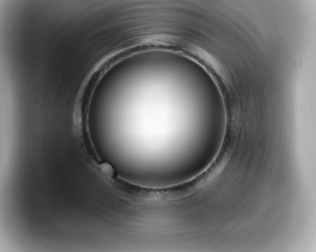 X0000099970923200805231402