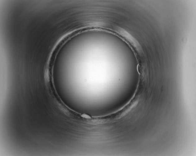 X0000099970924200805231402