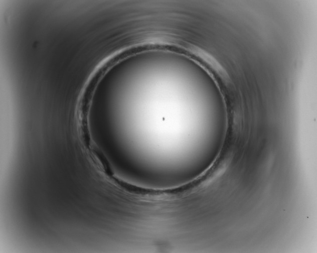 X0000099970926200805231402