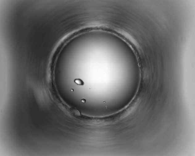 X0000099970927200805231402
