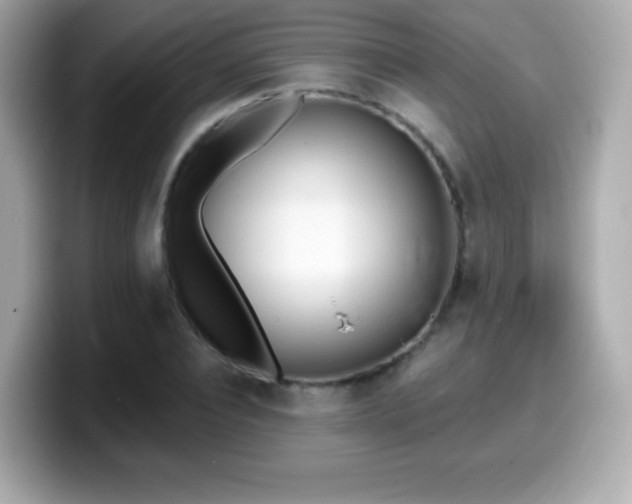 X0000099970928200805231402