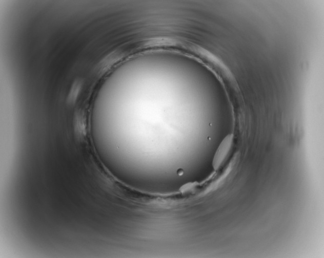 X0000099970929200805231402