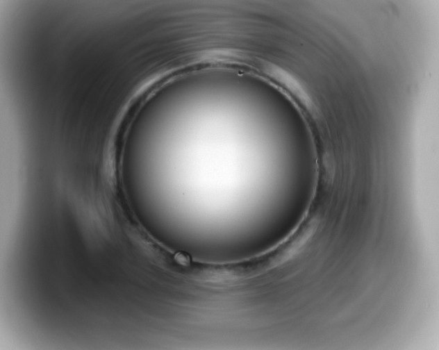 X0000099970931200805231402