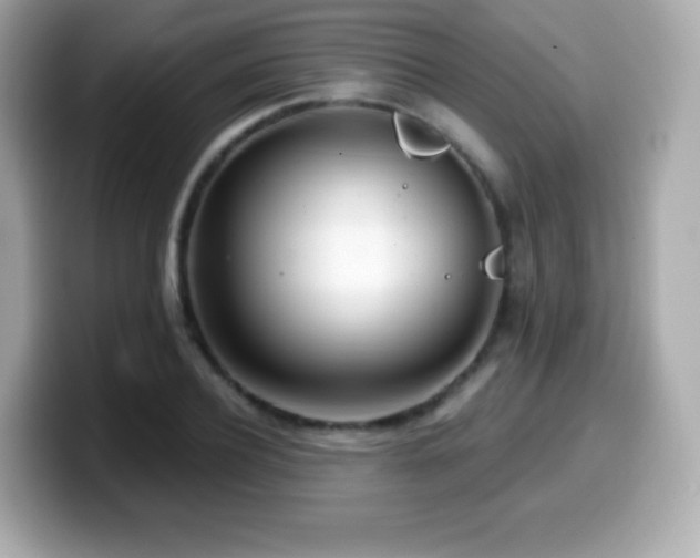 X0000099970932200805231402