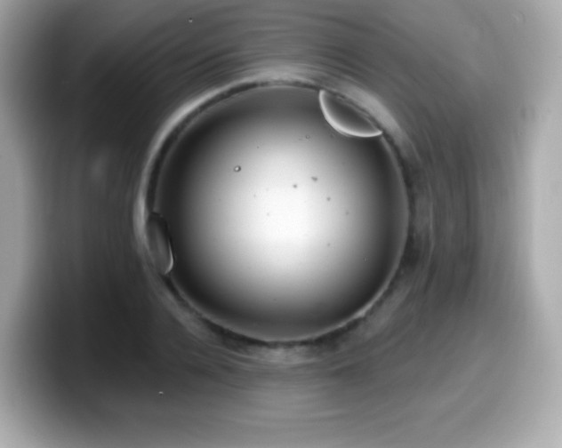 X0000099970936200805231402